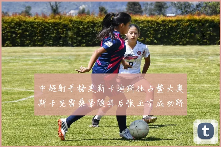 中超射手榜更新卡迪斯独占鳌头奥斯卡克雷桑紧随其后张玉宁成功跻身前十